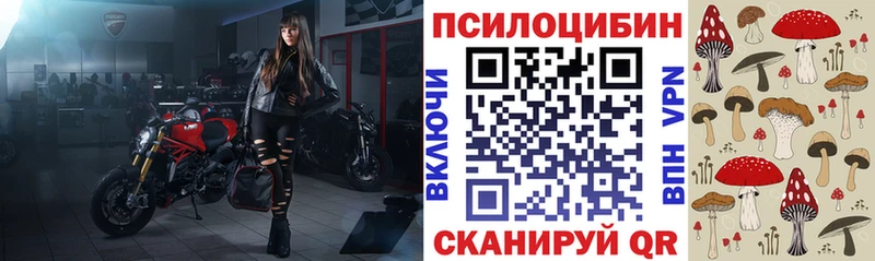 Купить Яровое Галлюциногенные грибы Psilocybine cubensis